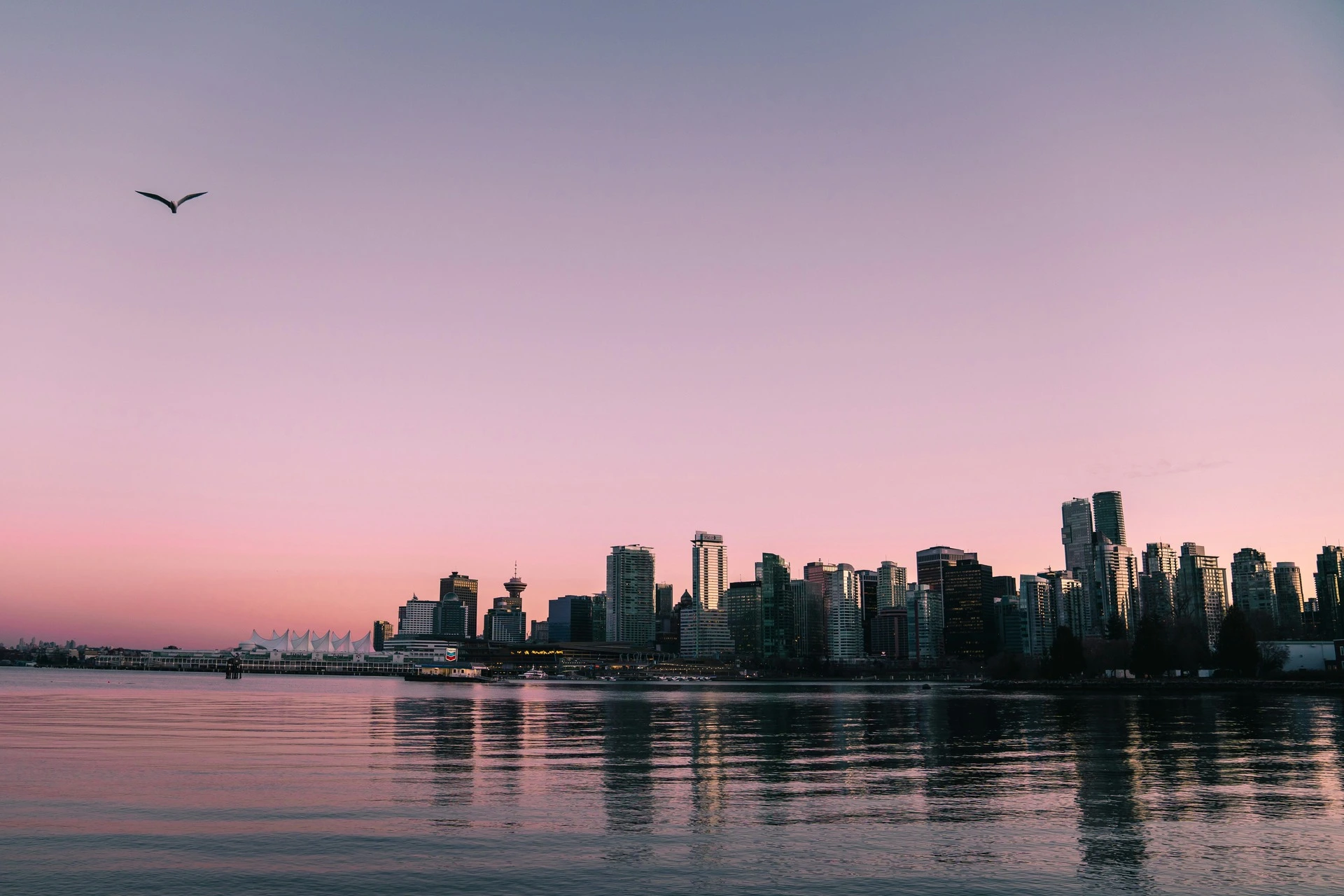 A pink sunset with the Vancouver skyline and the water.